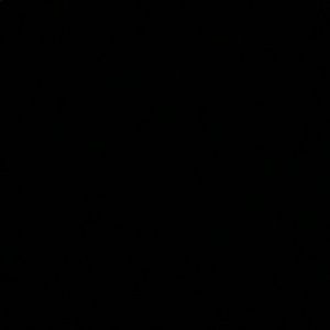 Meet your Posher, Elise